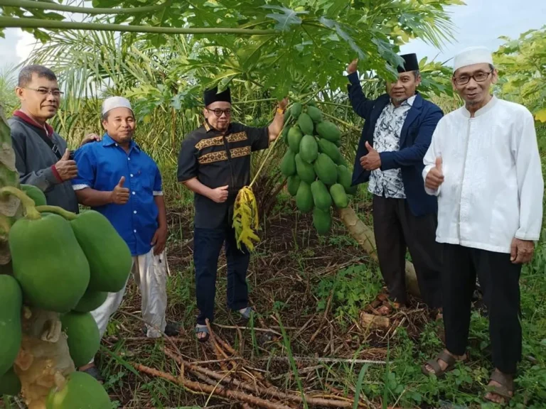 Studi Kasus Sukses: Panti Asuhan yang Mengadopsi Mudharabah